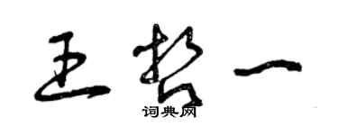 曾庆福王哲一草书个性签名怎么写