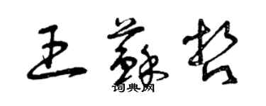 曾庆福王苏哲草书个性签名怎么写