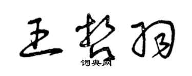 曾庆福王哲羽草书个性签名怎么写
