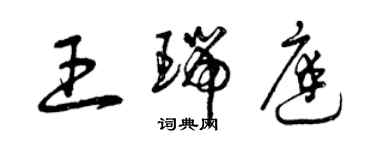 曾庆福王瑞庭草书个性签名怎么写