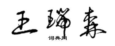 曾庆福王瑞森草书个性签名怎么写