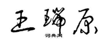 曾庆福王瑞原草书个性签名怎么写
