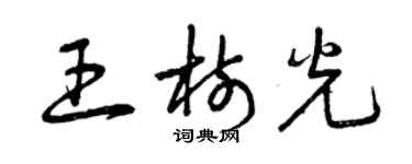 曾庆福王树光草书个性签名怎么写