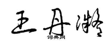 曾庆福王丹凝草书个性签名怎么写