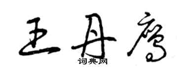 曾庆福王丹鹰草书个性签名怎么写