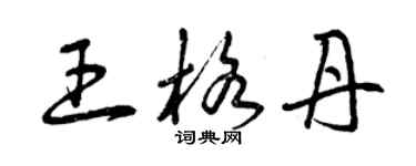 曾庆福王格丹草书个性签名怎么写
