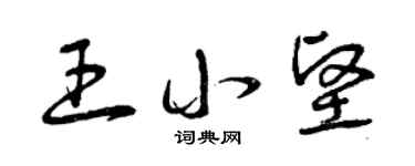 曾庆福王小坚草书个性签名怎么写