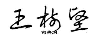 曾庆福王树坚草书个性签名怎么写