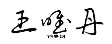 曾庆福王唯丹草书个性签名怎么写