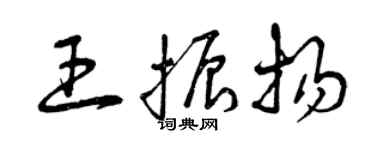 曾庆福王振扬草书个性签名怎么写