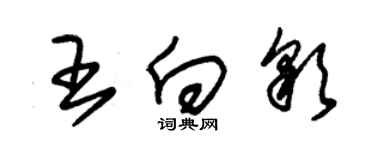 朱锡荣王向彩草书个性签名怎么写