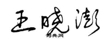 曾庆福王晓澎草书个性签名怎么写