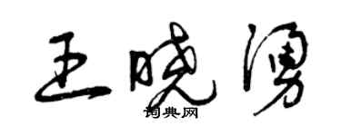 曾庆福王晓涌草书个性签名怎么写
