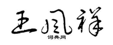 曾庆福王风祥草书个性签名怎么写