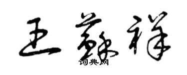 曾庆福王苏祥草书个性签名怎么写