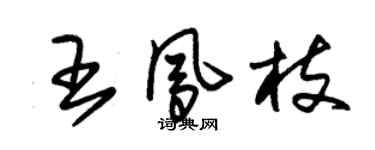 朱锡荣王凤枝草书个性签名怎么写