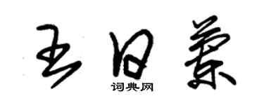 朱锡荣王日兰草书个性签名怎么写