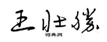 曾庆福王壮胜草书个性签名怎么写