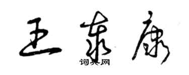 曾庆福王泰康草书个性签名怎么写