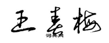 曾庆福王春梅草书个性签名怎么写
