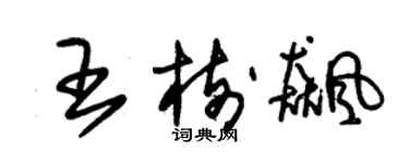 朱锡荣王树飙草书个性签名怎么写