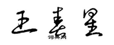 曾庆福王春星草书个性签名怎么写