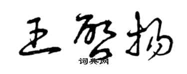 曾庆福王启扬草书个性签名怎么写