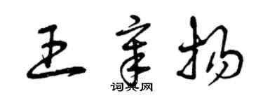 曾庆福王章扬草书个性签名怎么写