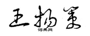 曾庆福王扬策草书个性签名怎么写