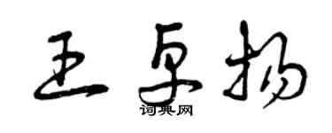 曾庆福王卓扬草书个性签名怎么写