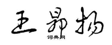 曾庆福王昂扬草书个性签名怎么写