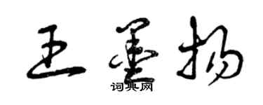 曾庆福王墨扬草书个性签名怎么写