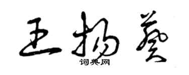 曾庆福王扬葵草书个性签名怎么写