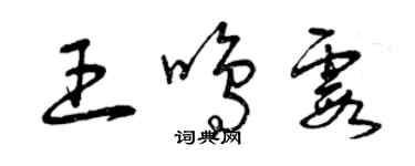 曾庆福王鸣霞草书个性签名怎么写