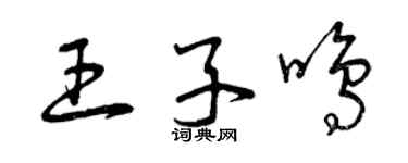 曾庆福王子鸣草书个性签名怎么写