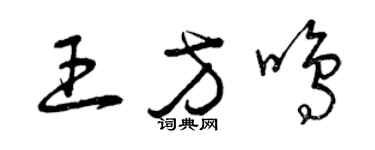 曾庆福王方鸣草书个性签名怎么写