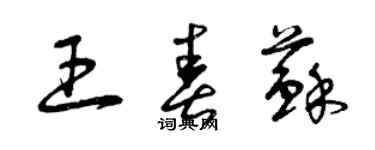 曾庆福王春苏草书个性签名怎么写