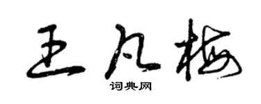 曾庆福王凡梅草书个性签名怎么写