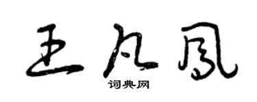 曾庆福王凡凤草书个性签名怎么写