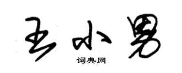 朱锡荣王小男草书个性签名怎么写