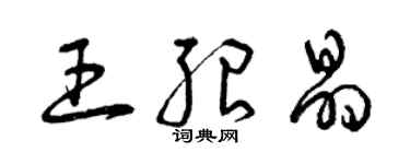 曾庆福王绍晶草书个性签名怎么写
