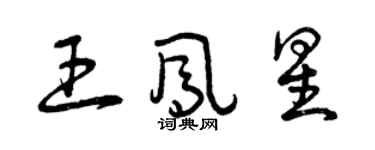 曾庆福王凤星草书个性签名怎么写