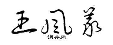曾庆福王风义草书个性签名怎么写