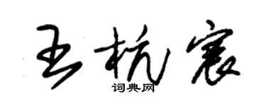 朱锡荣王杭宸草书个性签名怎么写