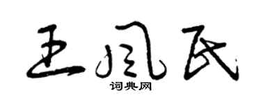曾庆福王风民草书个性签名怎么写