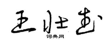 曾庆福王壮武草书个性签名怎么写