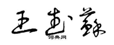 曾庆福王武苏草书个性签名怎么写