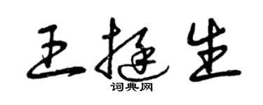 曾庆福王挺生草书个性签名怎么写