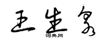 曾庆福王生泉草书个性签名怎么写