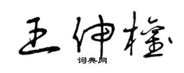 曾庆福王伸权草书个性签名怎么写